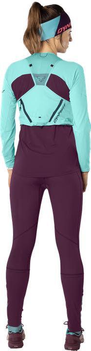 Actual product image Dynafit Alpine Pro Long Sleeve Shirt (36, 42, S)