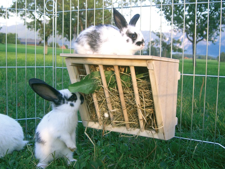 Actual product image Kerbl Hay rack