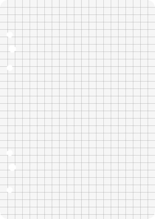 Image du produit Brunnen Pochettes pour classeurs à anneaux A6 quadrillées 50 feuilles