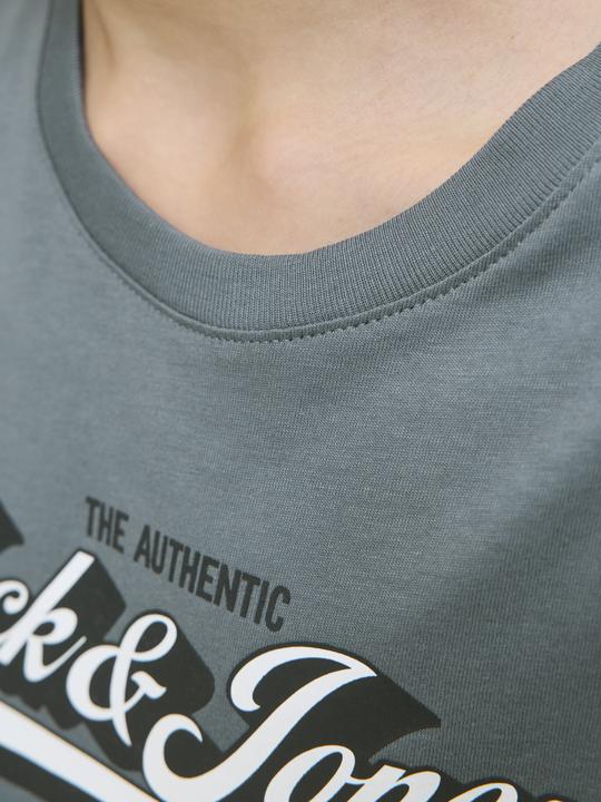 Actual product image Jack & Jones Jjelogo Tee Ss Oneck 2 Col Aw25 Noos Jnr (140)