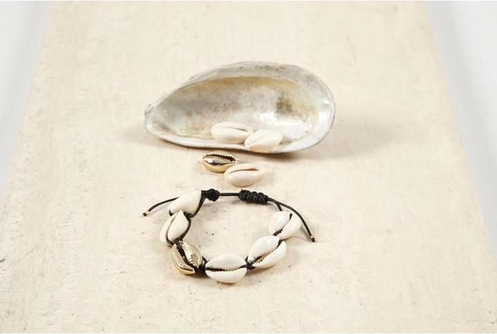 Image du produit Creativ Company Coquillages