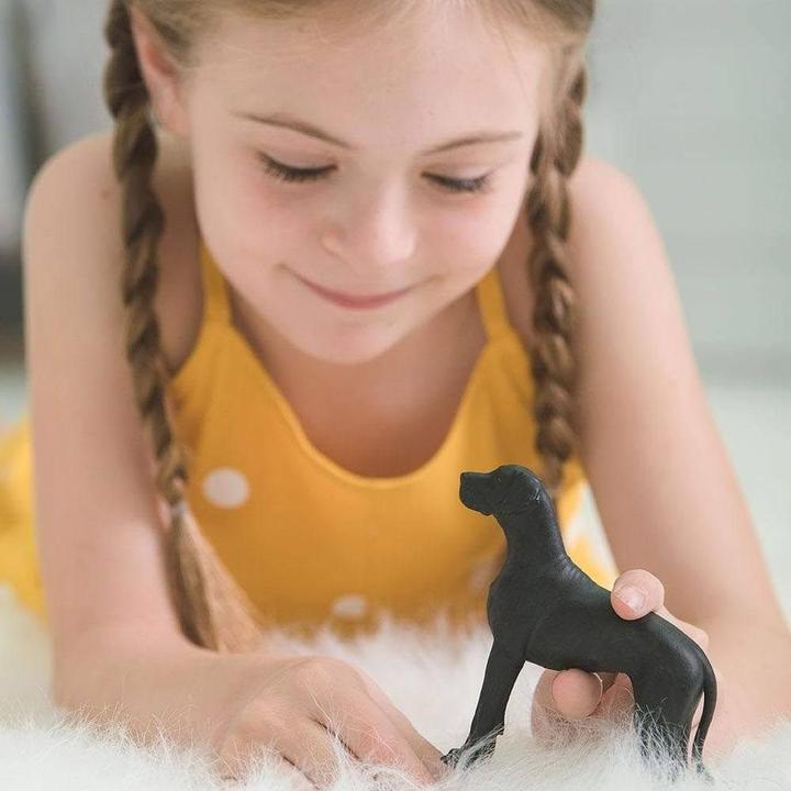 Actual product image Safari Great Dane