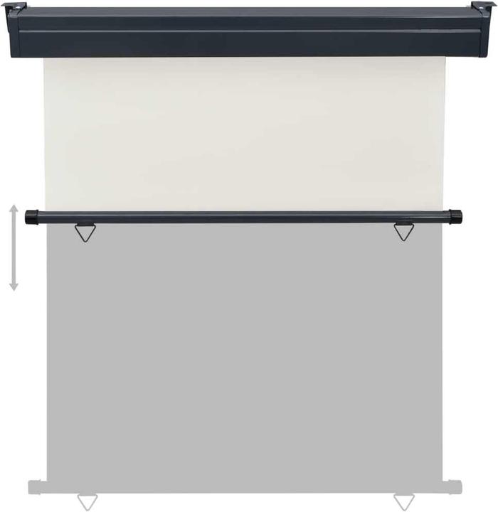 Image du produit VidaXL Auvent latéral (1.70 m)
