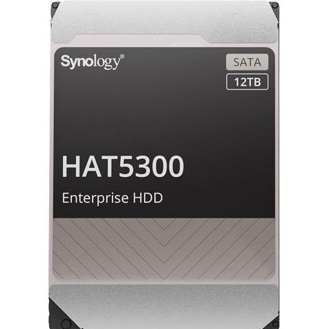 Synology 12TB 3.5IN Enterprise-Grade SAS HDD (HAS5300-12T) (12 TB), Festplatte