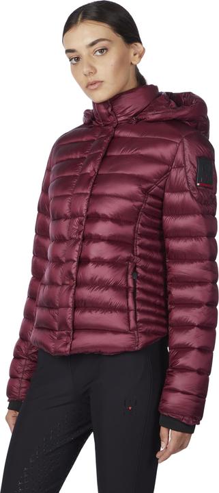 Immagine prodotto Vestrum Polluce (L)