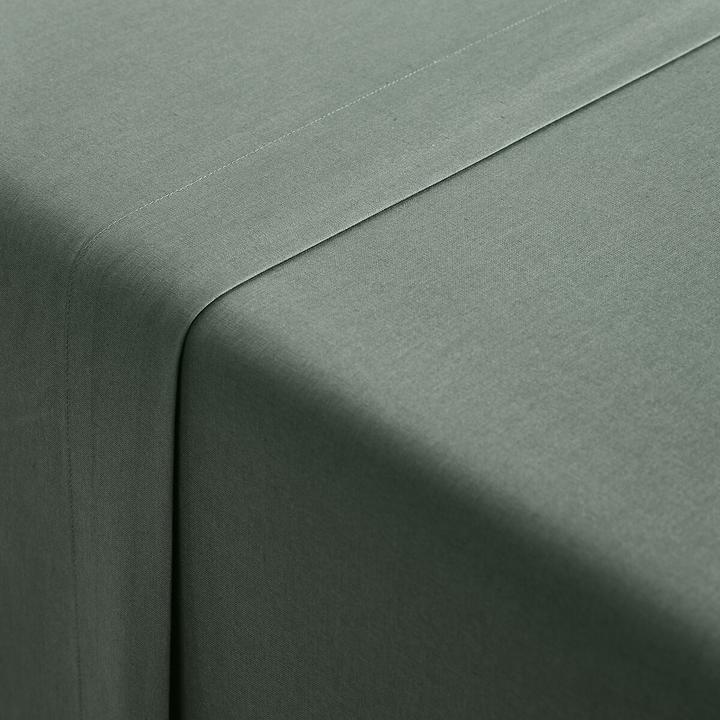 Image du produit La Redoute Interieurs Scenario Bio (Oberleintuch, 240 x 290 cm)