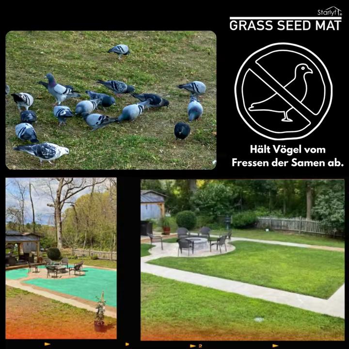 Actual product image Starlyf Grass Seed Mat (Plant seeds)