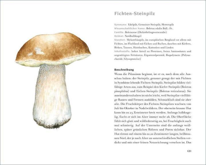 Produktbild Das kleine Pilzbuch (Deutsch, Catrin Cohnen, Diana Lawniczak, 2014)
