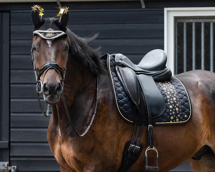 Produktbild Qhp Celebrate