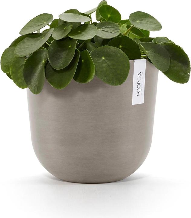 Actual product image Ecopots Oslo (25 x 21.80 cm)
