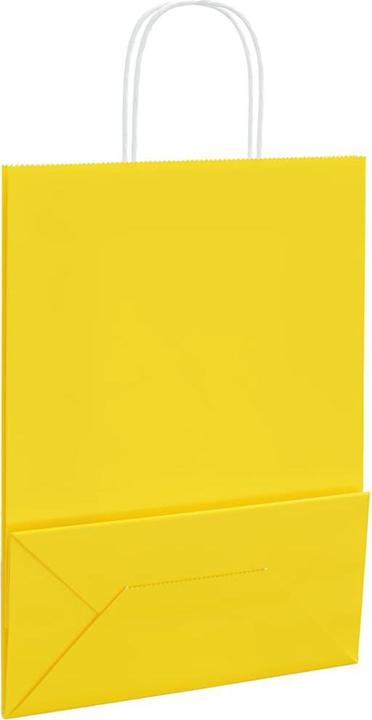 Produktbild vidaXL Papiertragetasche (50x)