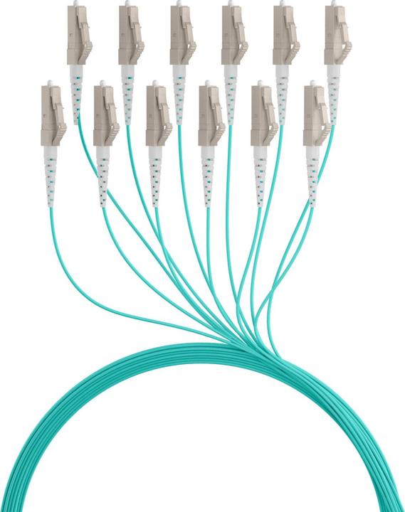 Image du produit EFB Elektronik Câble trunk U-DQ ZN BH OM3 12G 1x12 LC-LC 190m Dca LSZH (190 m)