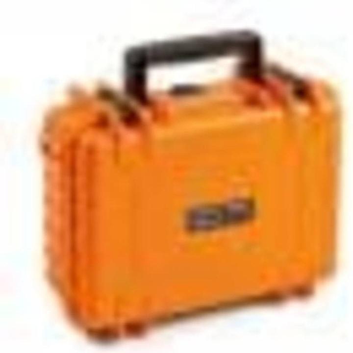 Actual product image B+W Typ 1000 RPD (Photo case, 4.10 l)