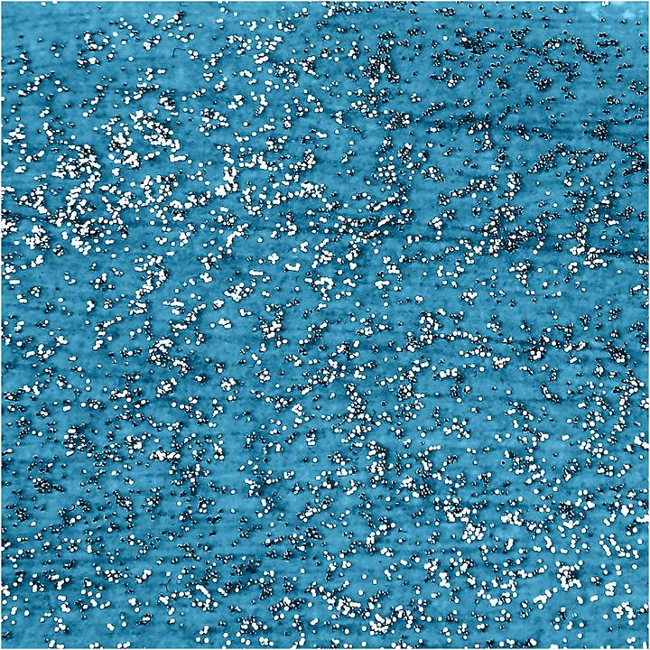 Produktbild Creativ Company Glitzer-Acrylfarbe für Kinder – Türkis, 500 ml (500 ml)