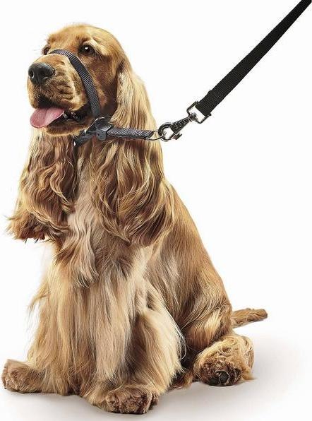 Image du produit beaphar Collier Gentle Leader S, noir (S, Chien)