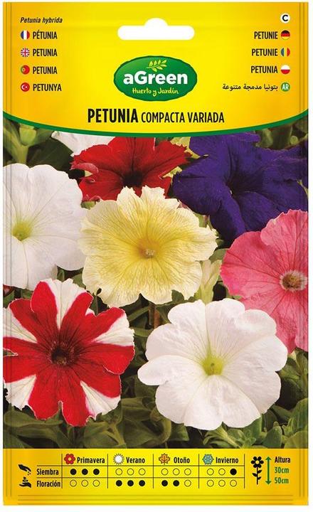 Agreen About variety compact petunia seeds 300678bolsh (Flower seeds)