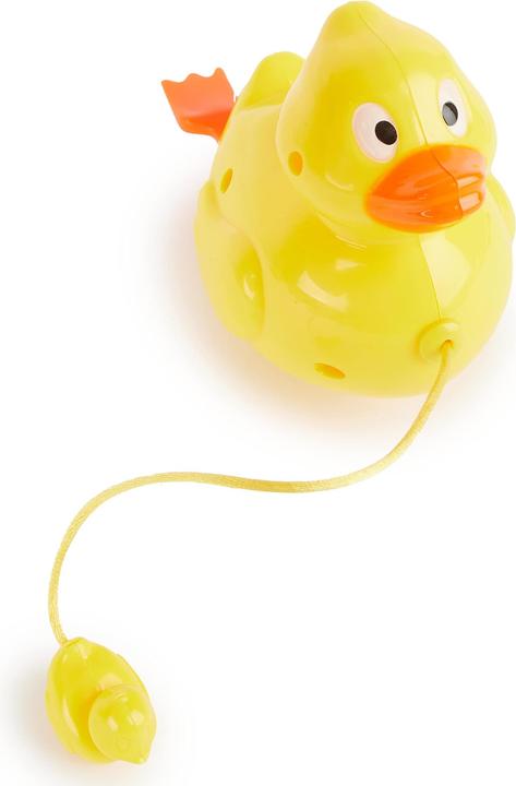 Actual product image Bieco wind up duck