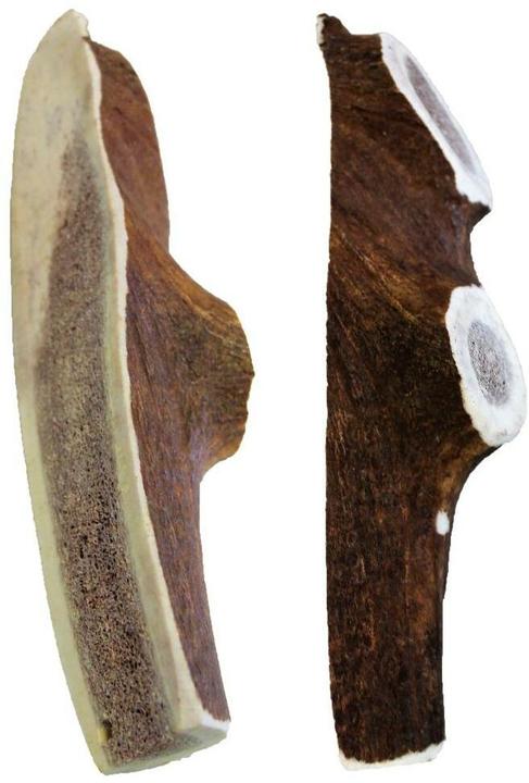 Actual product image Kyli Red deer antlers (size L) (Adult, 1 pcs., 150 g)