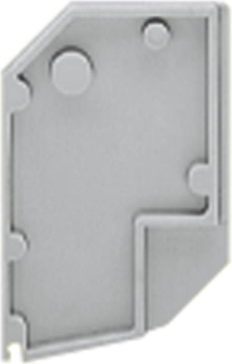 Actual product image Wago End plate