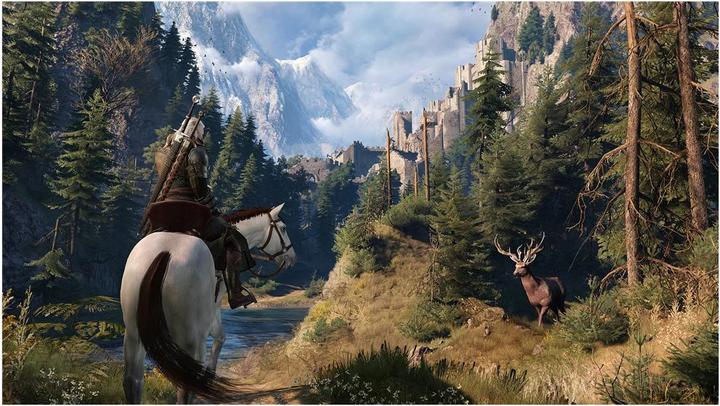 Produktbild Bandai Namco The Witcher 3: Wild Hunt Expansion Pass