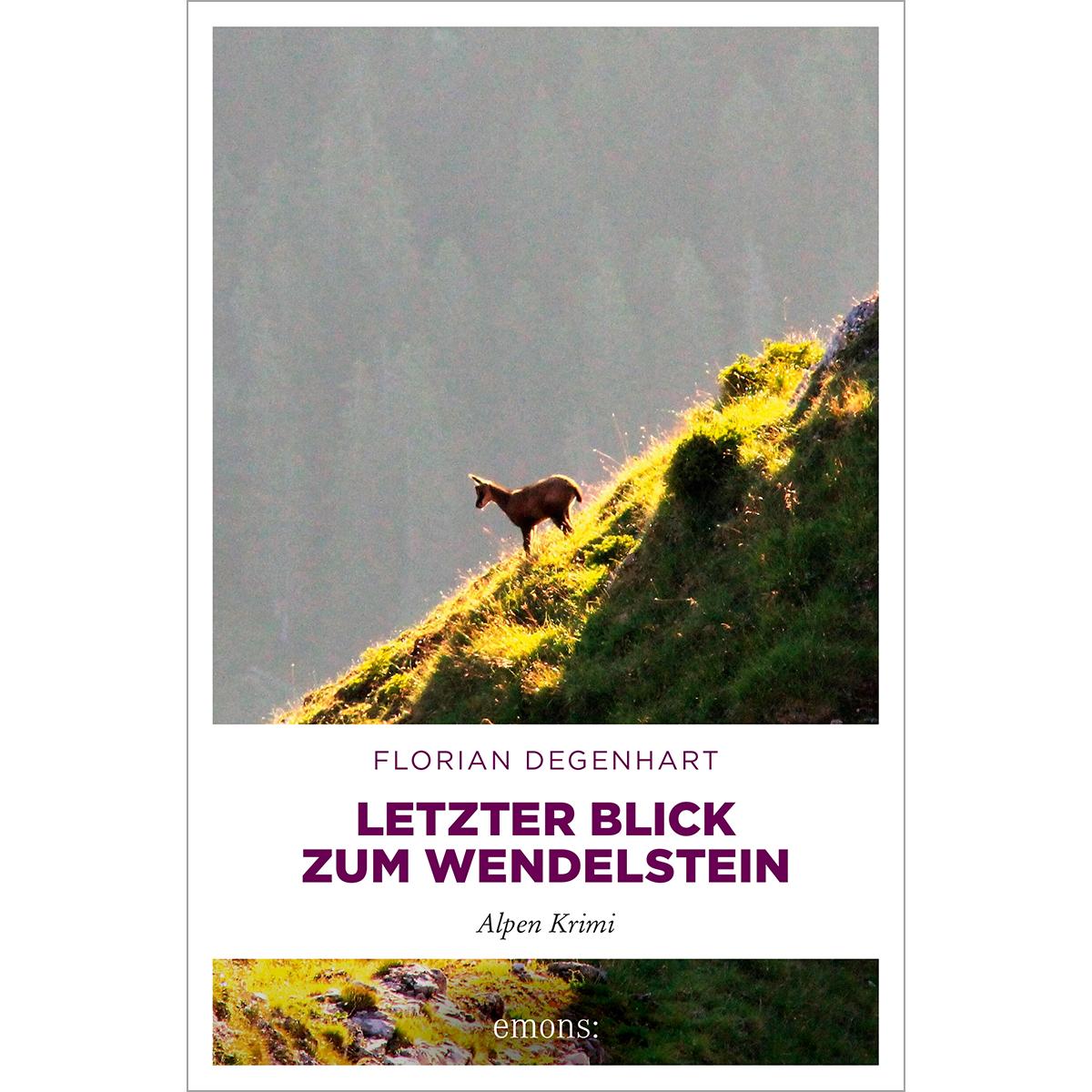 Letzter Blick zum Wendelstein, Belletristik von Florian Degenhart