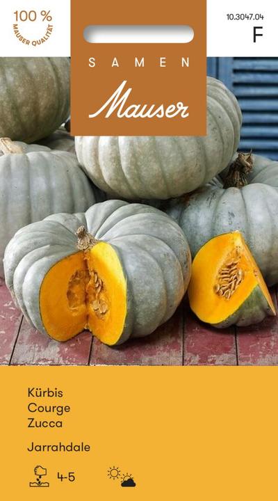 Image du produit Samen Mauser Kürbis Jarrahdale (Graines de légumes)