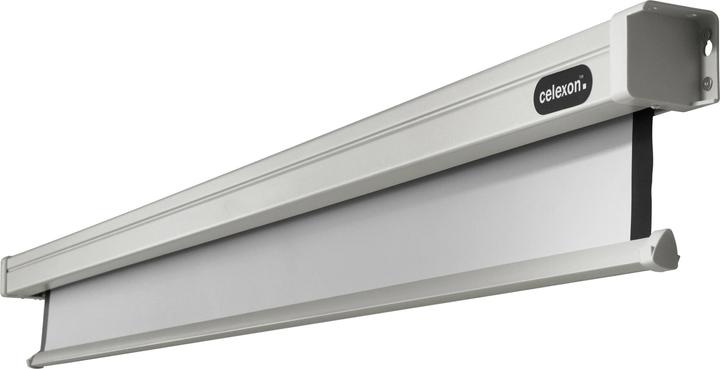 Actual product image Celexon Rollo Professional (122.44", 1:1)