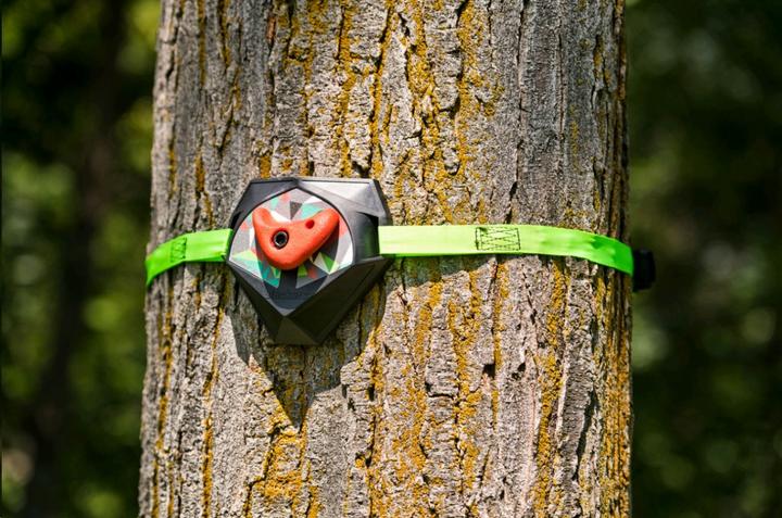 Immagine prodotto Schildkröt Treeclimbers ninja (2.20 m)