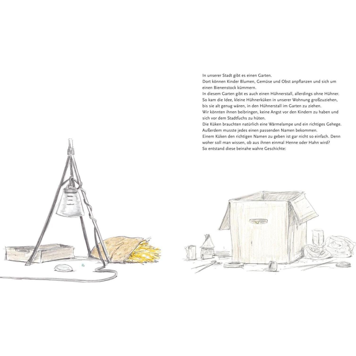 Thumbnail - Chick, Kinderbücher von Sebastian Meschenmoser