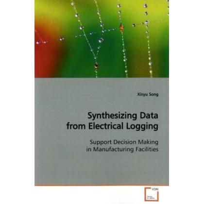 Synthesizing Data from Electrical Logging, Fachbücher von Xinyu Song