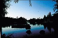 Produktbild Cokin P670 Verlauffilter fluo pink 1 (82 mm, Farbfilter)