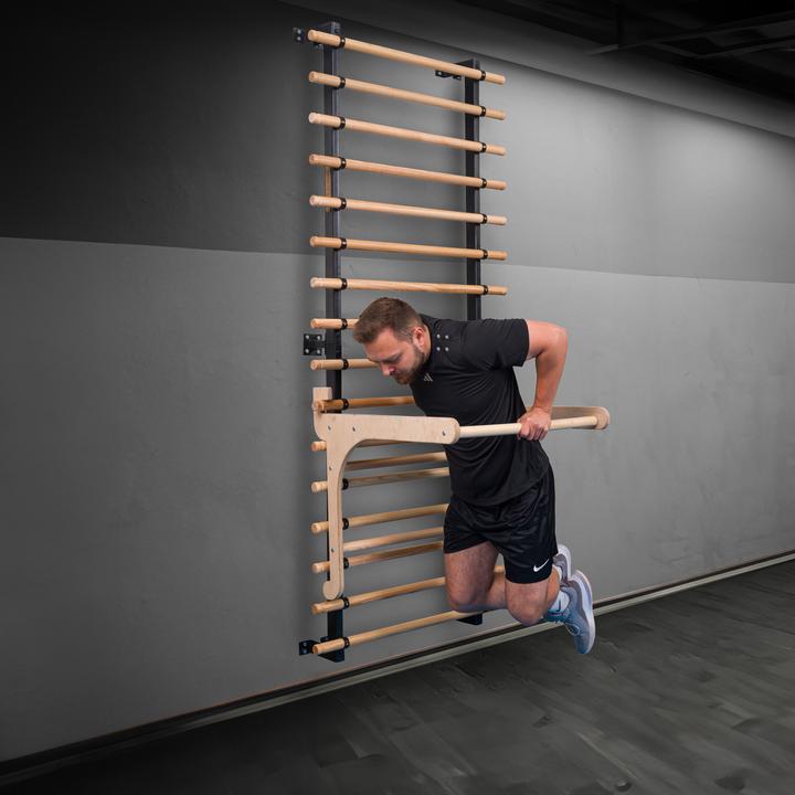 Actual product image Sport-Thieme Pull-up bar Multi