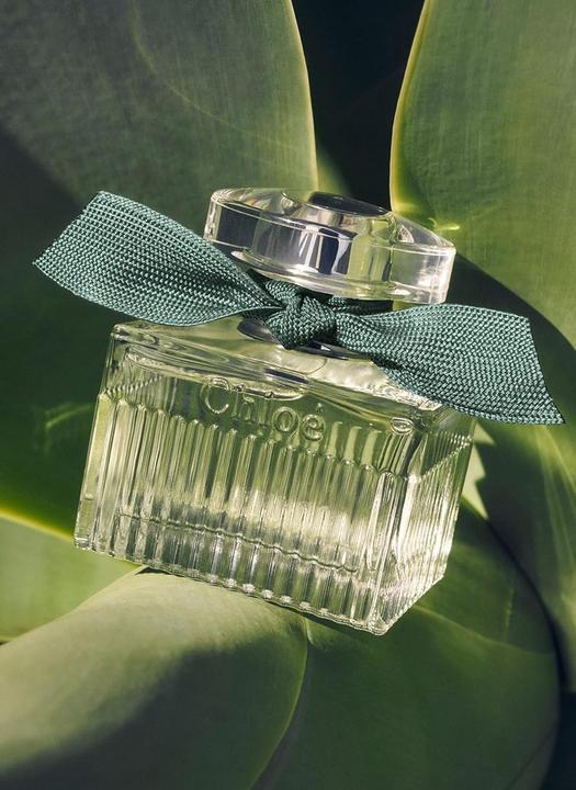 Image du produit Chloé Rose Natural Intense Eau de Parfum Refillable (Eau de parfum, 100 ml)