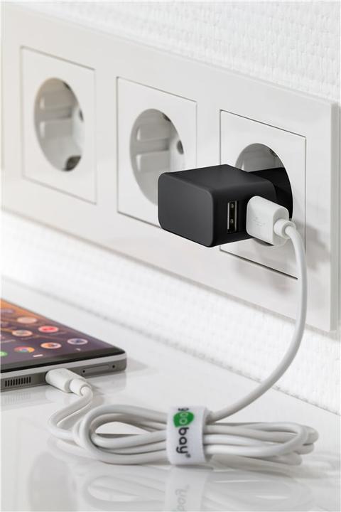 Image du produit Goobay Chargeur double USB A avec Câble USB-C (12 W, 2 ports)