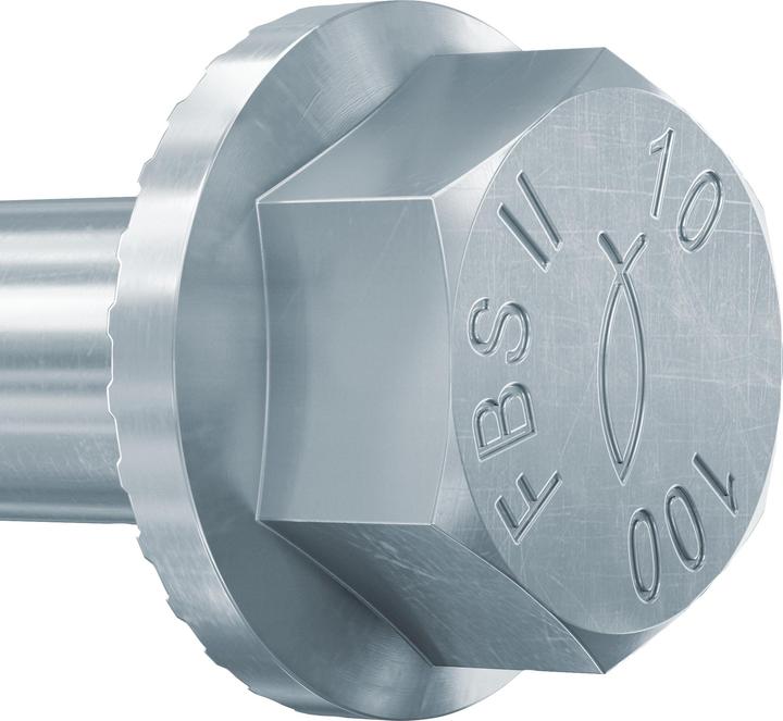 Actual product image Fischer 558227 (10 Screws per piece)