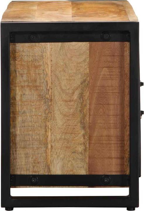 Image du produit vidaXL TV-Schrank (100 x 30 x 40 cm)