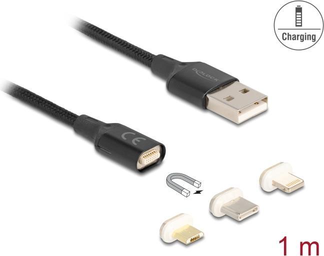 Actual product image Delock Magnetic charging cable set for 8 pin Lightning / Micr (1 m)