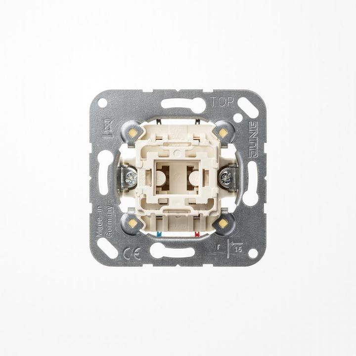 Produktbild JUNG Taster