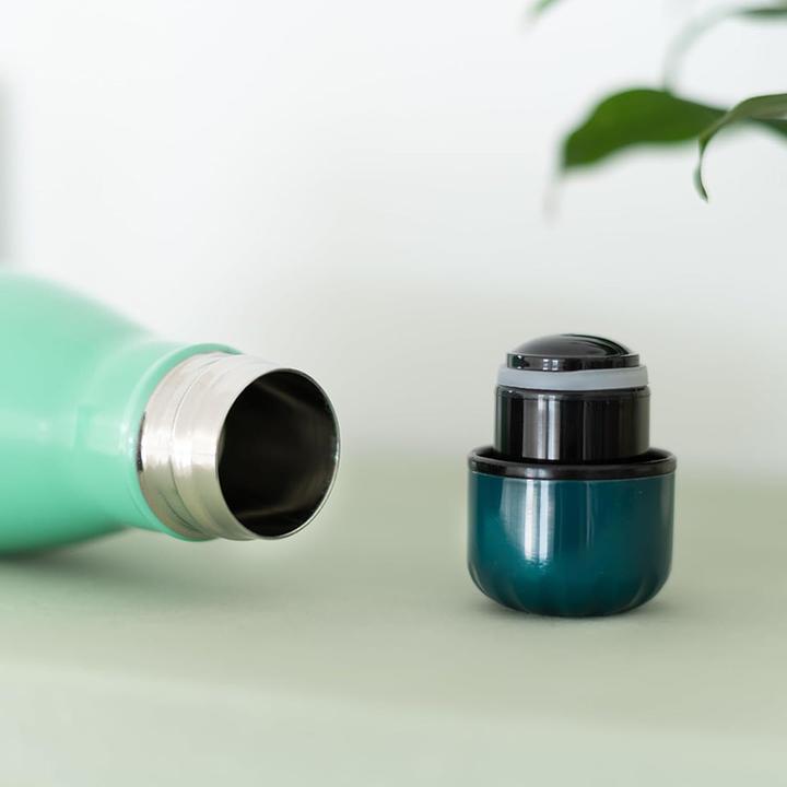 Actual product image BT21 Grupo Erik Official Merchandise Metal Hot & Cold Bottle 260ml - 9 Oz (0.26 l)