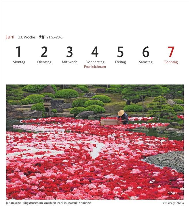 Actual product image Harenberg Japan Sehnsuchtskalender 2026 - Wochenkalender mit 53 Postkarten (Hardcover, German)