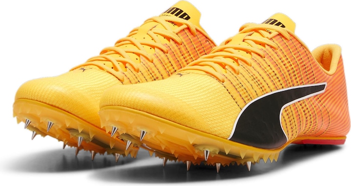 Produktbild Puma evoSPEED FUTURE 6 (40)