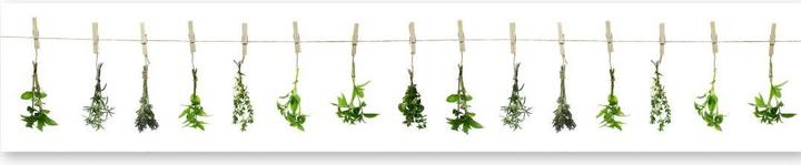 Actual product image Trenddeko Herbs (48 x 300 cm)