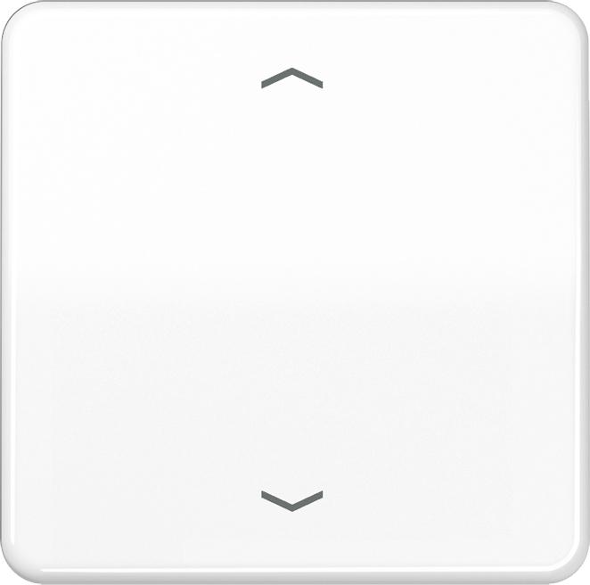 JUNG Control element 1f aws CD w.Abd f.Dimmeins CD1700PWW