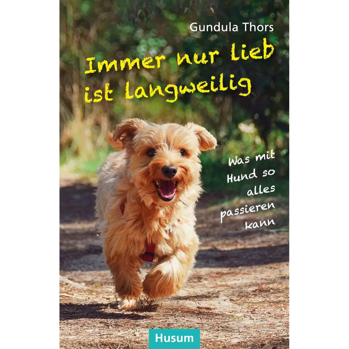 Husum Druck Immer nur lieb ist langweilig (Gundula Thors, Deutsch), Sonstige Literatur