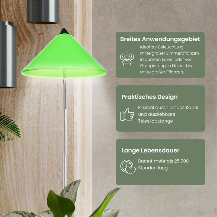 Actual product image Colibri Sunlite (LED, 230 V)