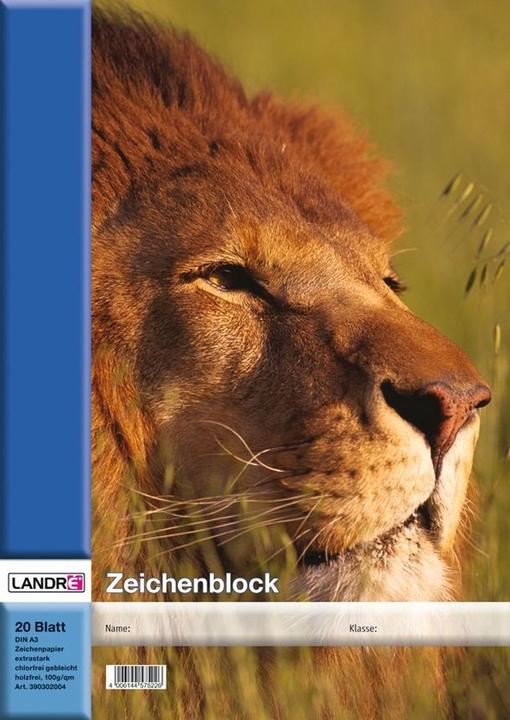 Produktbild Hamelin Zeichenblock (A3)