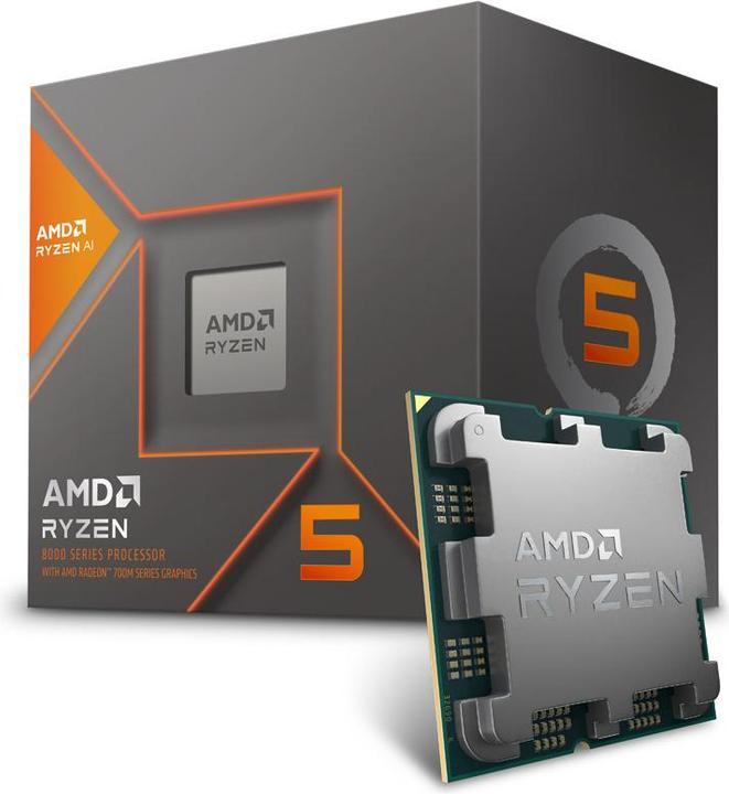 Actual product image AMD Ryzen 5 8600G (AM5, 4.30 GHz, 6 -Core)