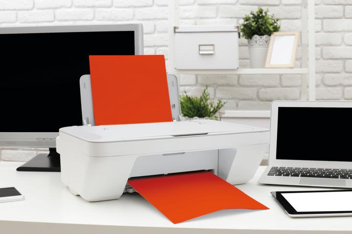 Immagine prodotto Clairefontaine Carta universale Trophée colorata (80 g/m², A4)