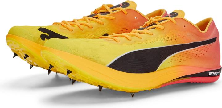 Produktbild Puma evoSPEED Long Distance Nitro Elite+ (44.5)