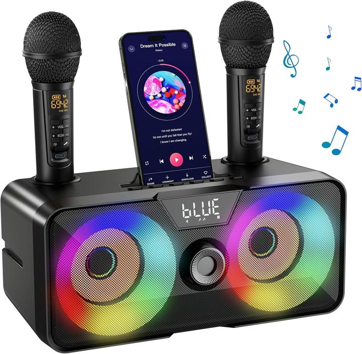 Sinwe Karaoke-Maschine K317 (2x 15 W)